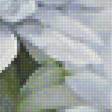 Предпросмотр схемы вышивки «Хризантемы» (№1696818)