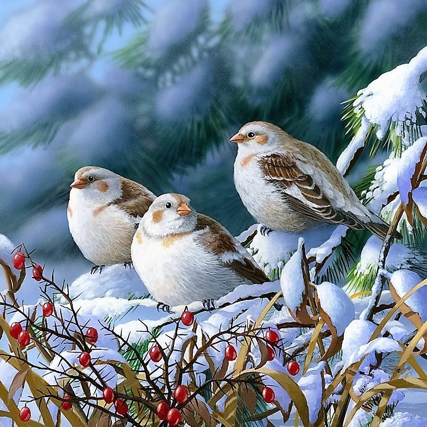 Птицы зимой - птицы, зима, природа - оригинал