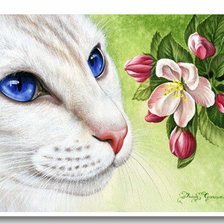 Оригинал схемы вышивки «mačka,kvety» (№1697092)