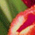 Предпросмотр схемы вышивки «Тюльпаны» (№1698873)
