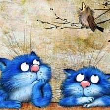 Ріна Зенюк - Сині котики