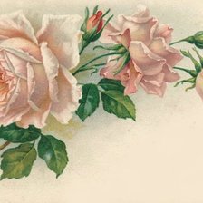 Оригинал схемы вышивки «Розы» (№1702081)