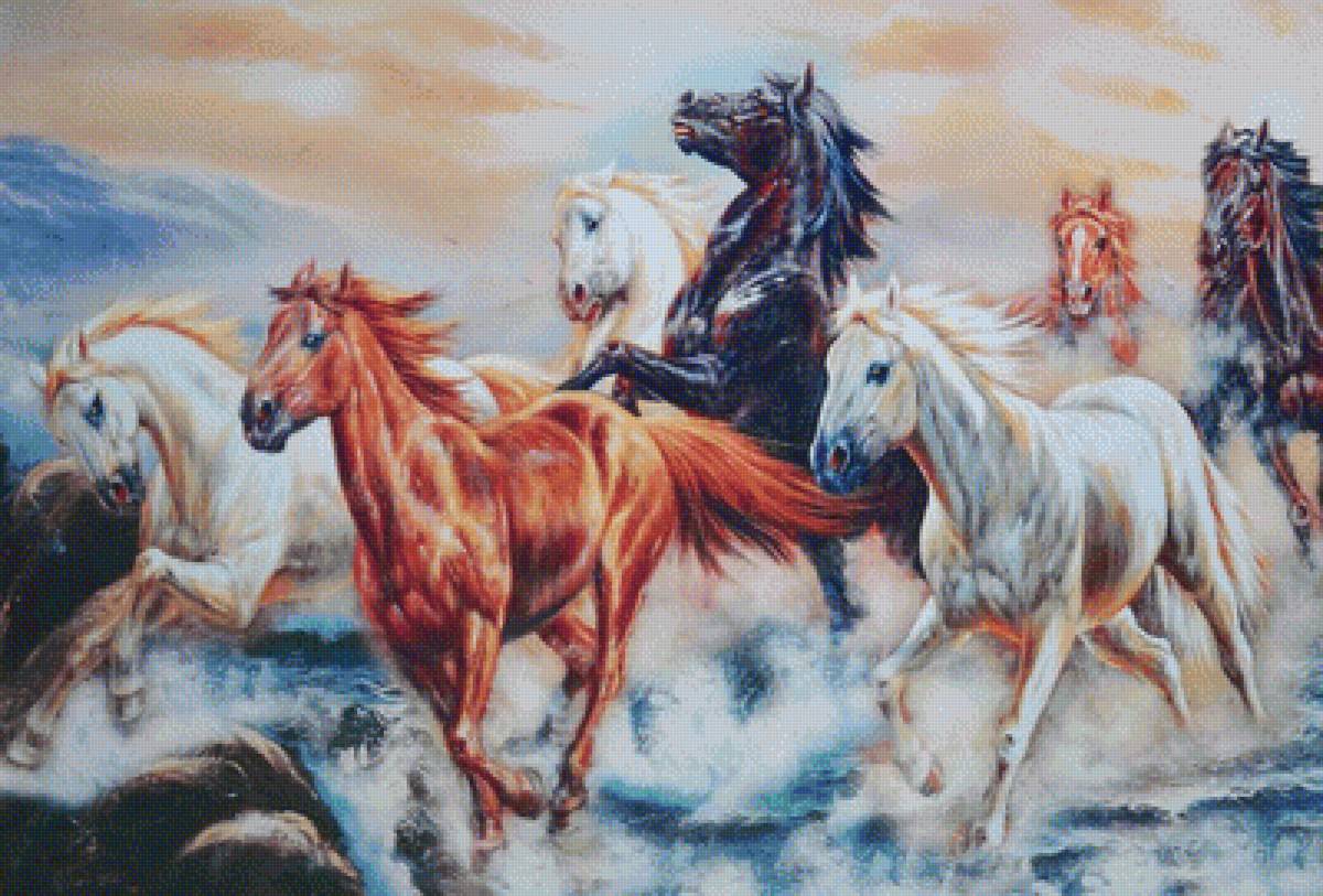 Кони - кони, закат, бегущие - предпросмотр