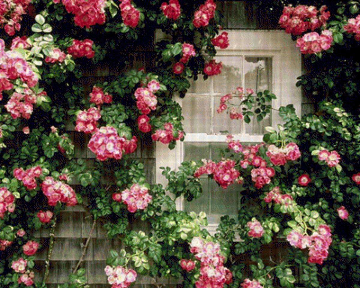 Сказочный домик - окно, цветы - предпросмотр
