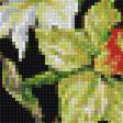 Предпросмотр схемы вышивки «цветы часть 3» (№1706480)