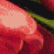 Предпросмотр схемы вышивки «букет тюльпанов» (№1706491)