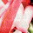 Предпросмотр схемы вышивки «цветы» (№1707585)