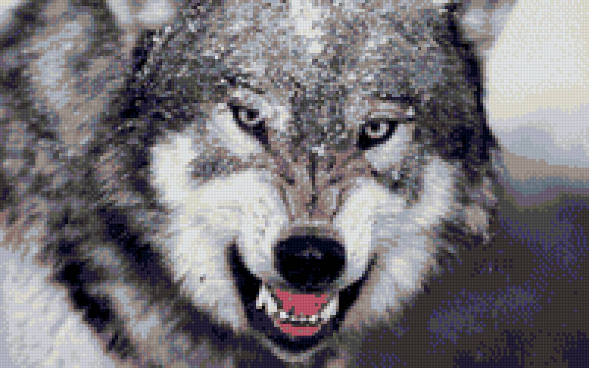 волк - злость, волк - предпросмотр