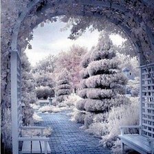 снежная арка