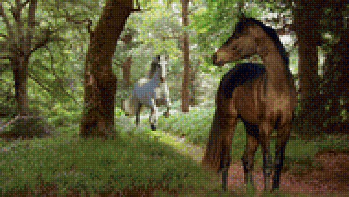 Лошади в лесу - утро, лес, лошади - предпросмотр