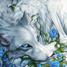 Оригинал схемы вышивки «белый волк» (№1711065)