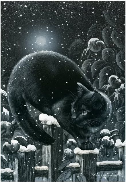 Черный кот 3 - черный, зима, кот - оригинал