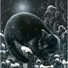 Черный кот 3
