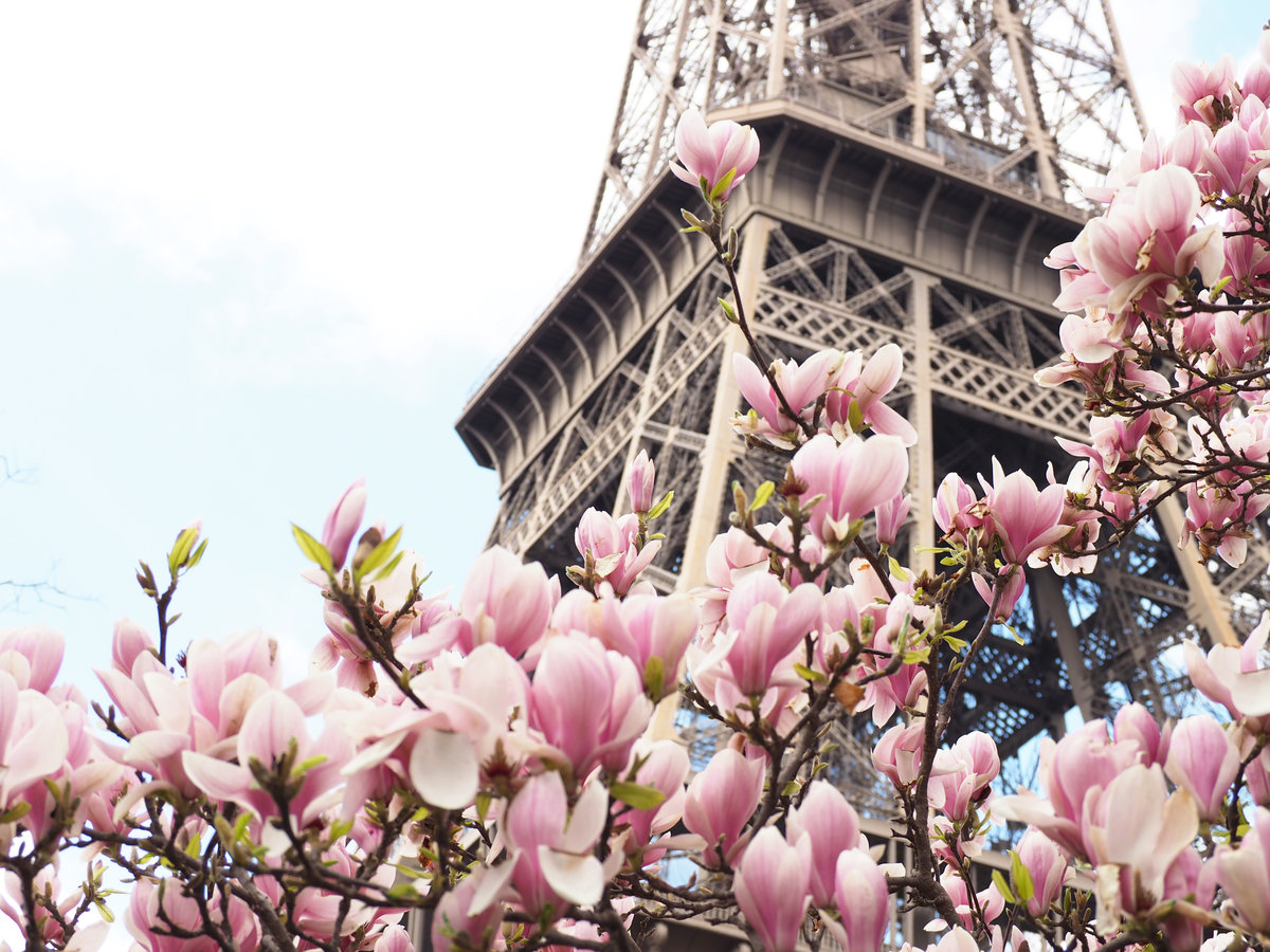 Весна в Париже - оригинал