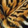 Предпросмотр схемы вышивки «Тигры» (№1712911)