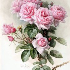 Оригинал схемы вышивки «розы» (№1713383)