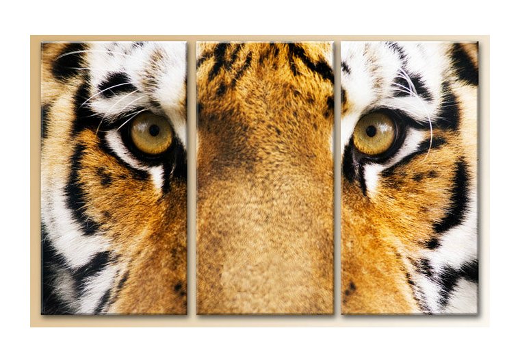 Триптих. Тигр - триптих, звери, животные - оригинал