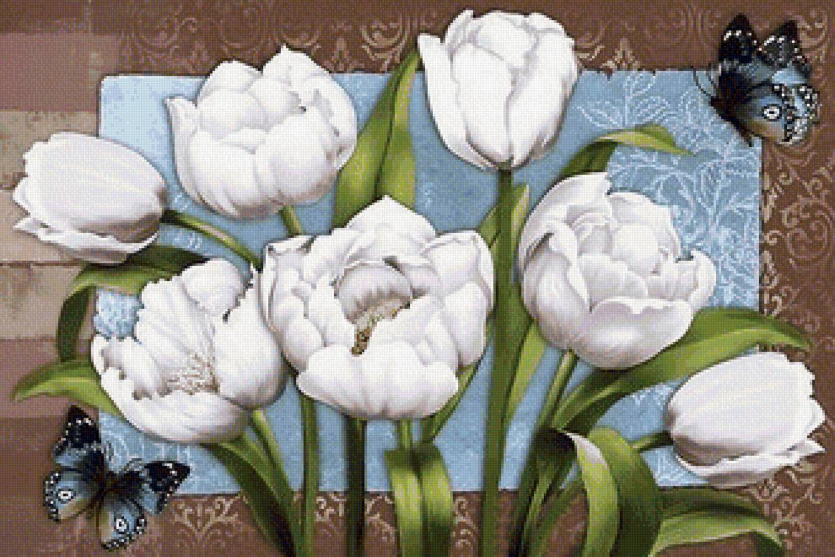 белые тюльпаны - тюльпаны, бабочки - предпросмотр