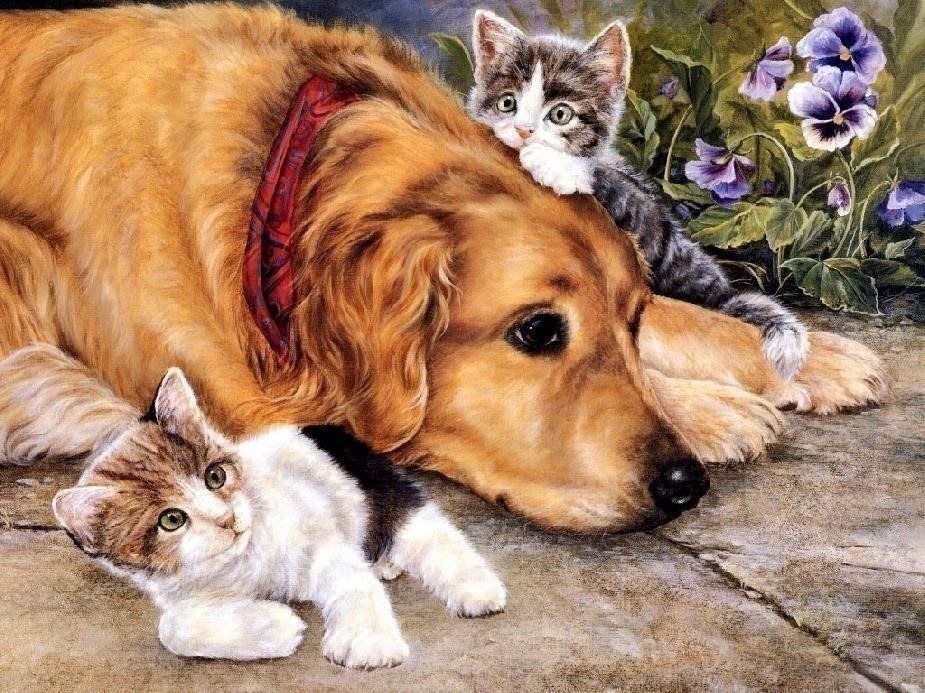 Собака с котятами - животные - оригинал