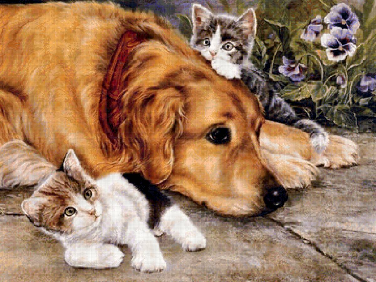Собака с котятами - животные - предпросмотр