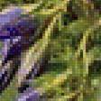 Предпросмотр схемы вышивки «Фиолетово-желтый букет» (№1720505)