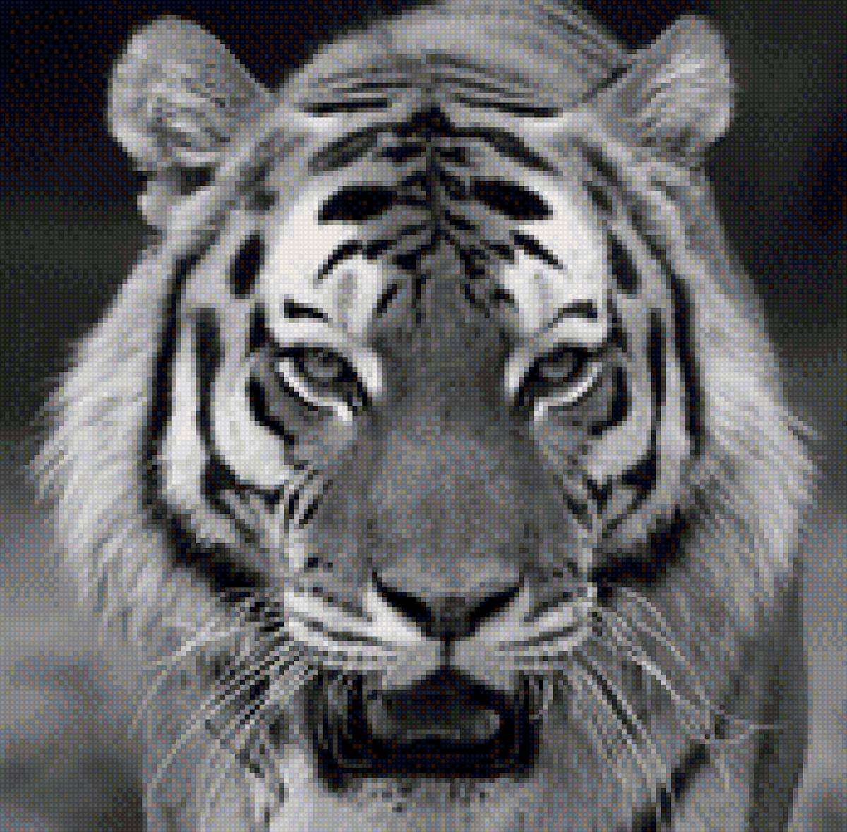 тигр - животное, большая кошка, тигр - предпросмотр