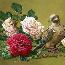 Оригинал схемы вышивки «holub,ruže» (№1723472)