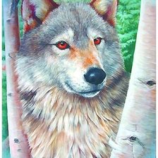 Оригинал схемы вышивки «волк» (№1724364)