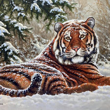 Оригинал схемы вышивки «тигр зимой» (№1724797)