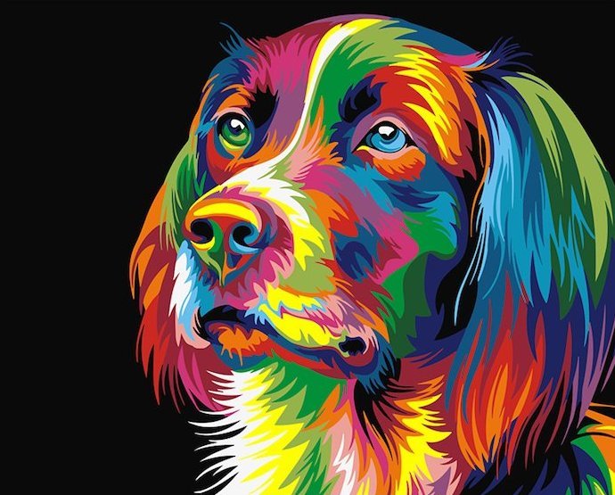 Радужный пес - радужный пес, собака - оригинал