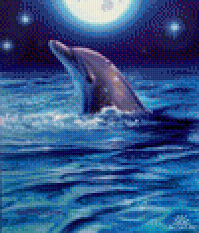 Дельфин и луна - дельфин - предпросмотр