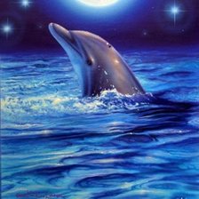 Дельфин и луна