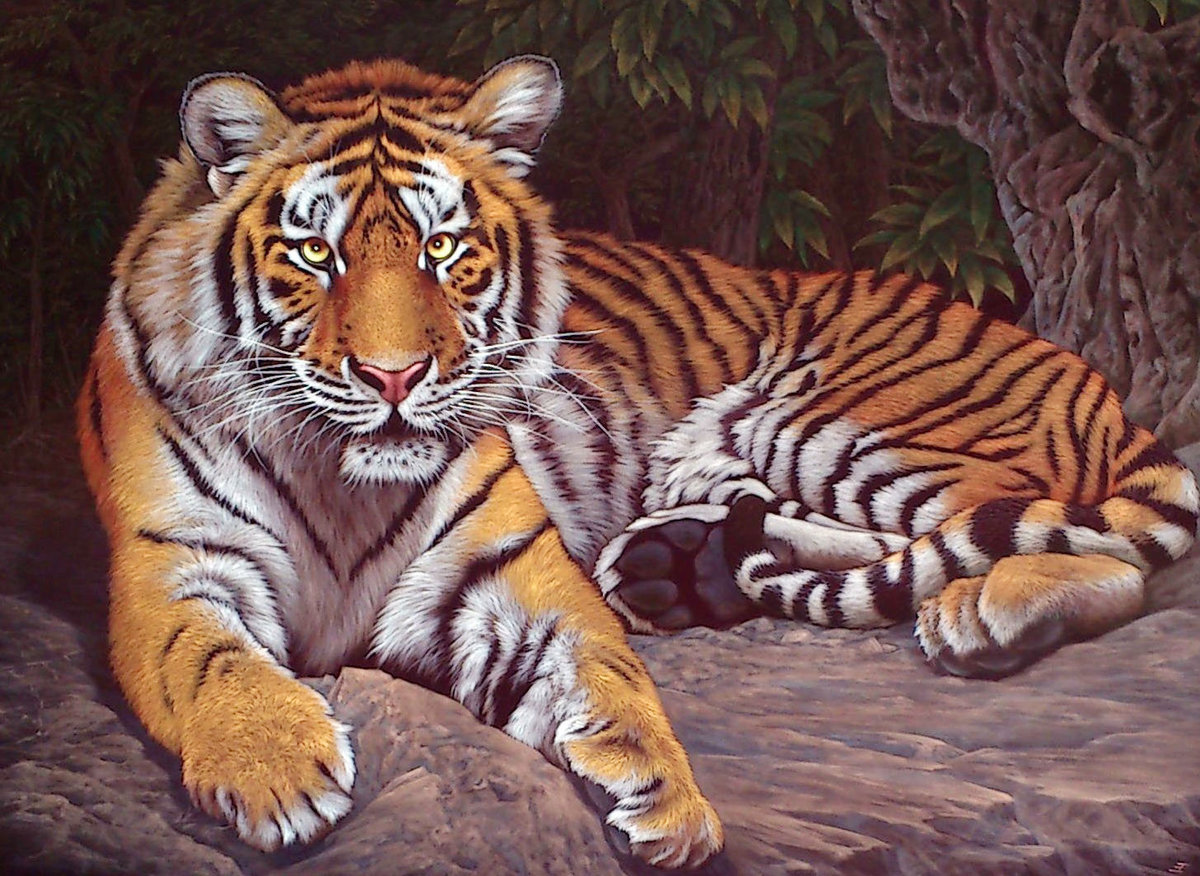 Тигр - звери, животные - оригинал