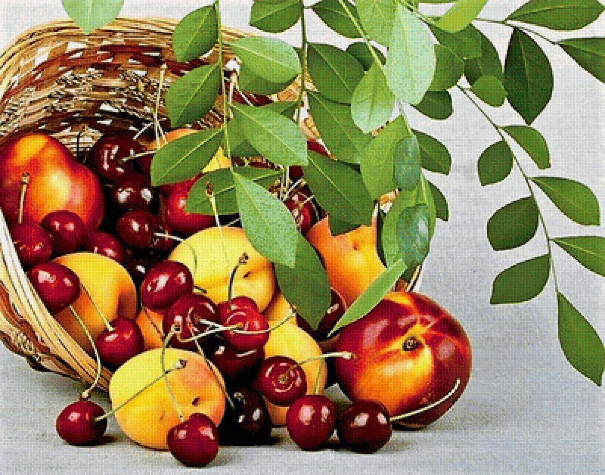 вишня и персики - натюрморт, фрукты, фото - предпросмотр