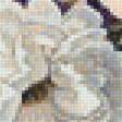 Предпросмотр схемы вышивки «pekné kvety» (№1728624)