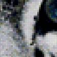 Предпросмотр схемы вышивки «Барсик с голубыми глазами» (№1728696)