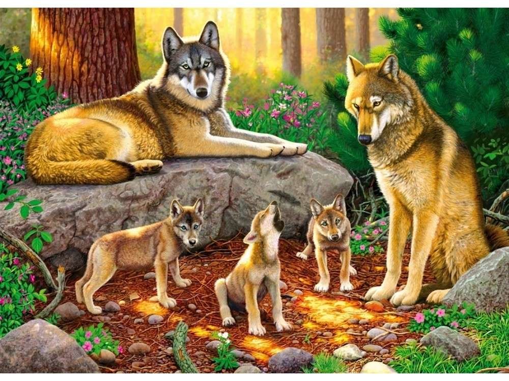 Семейство волков - волки, звери, животные, волчата, лес - оригинал