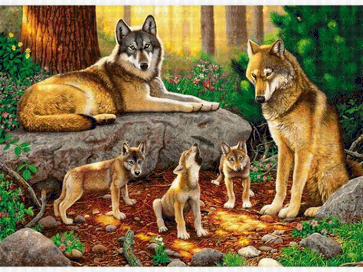 Семейство волков - волки, животные, волчата, лес, звери - предпросмотр