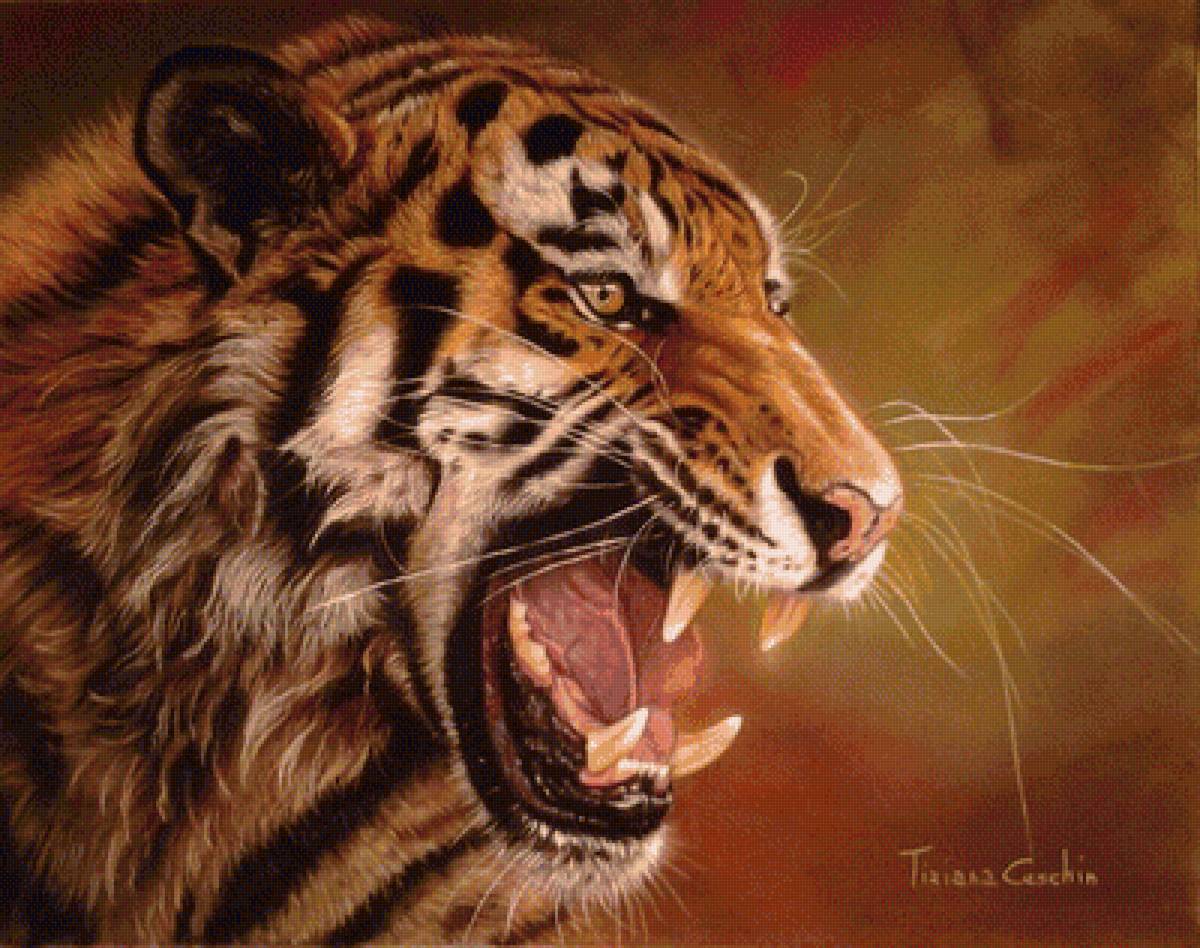 №1729495 - тигр хищник - предпросмотр