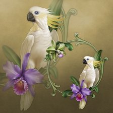 Схема вышивки «попугайчики»