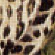 Предпросмотр схемы вышивки «Леопард» (№1732729)