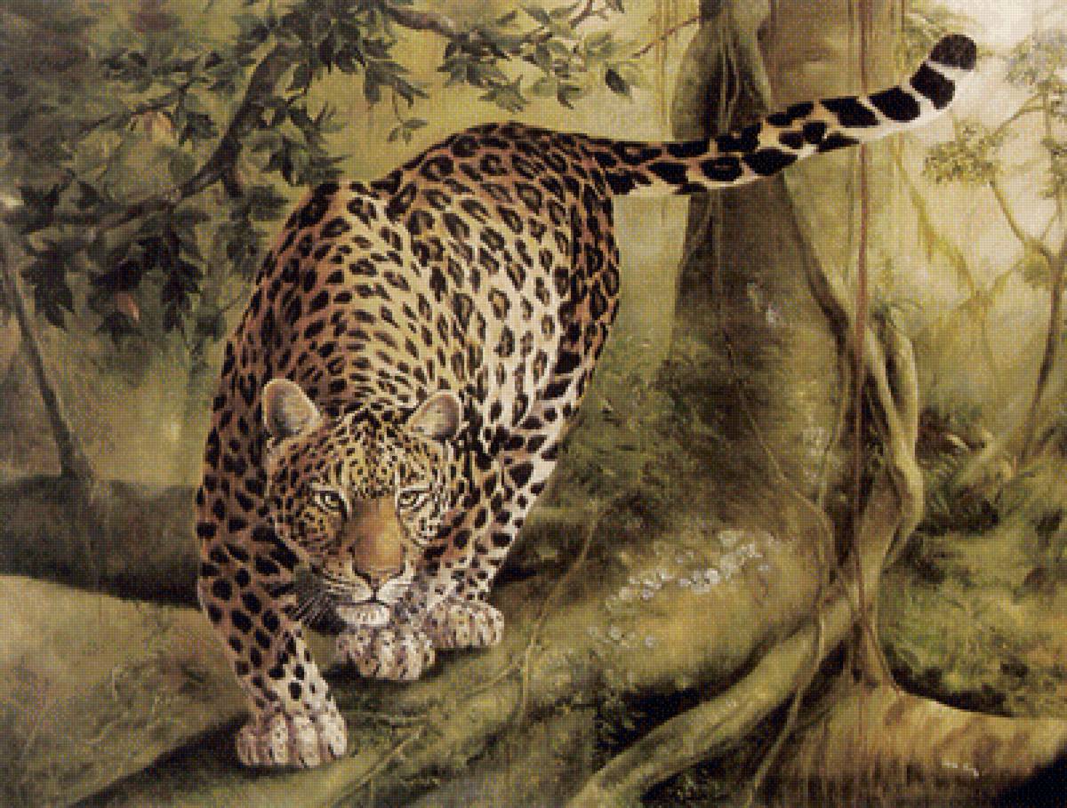Леопард - звери, животные - предпросмотр