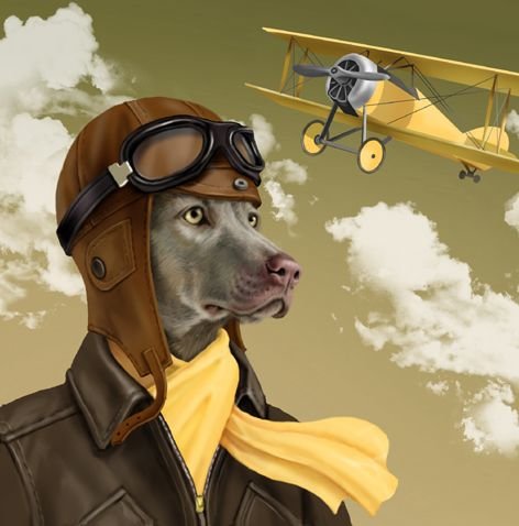 Мир животных - фэнтези, собака, пес, пилот, арт, самолет - оригинал