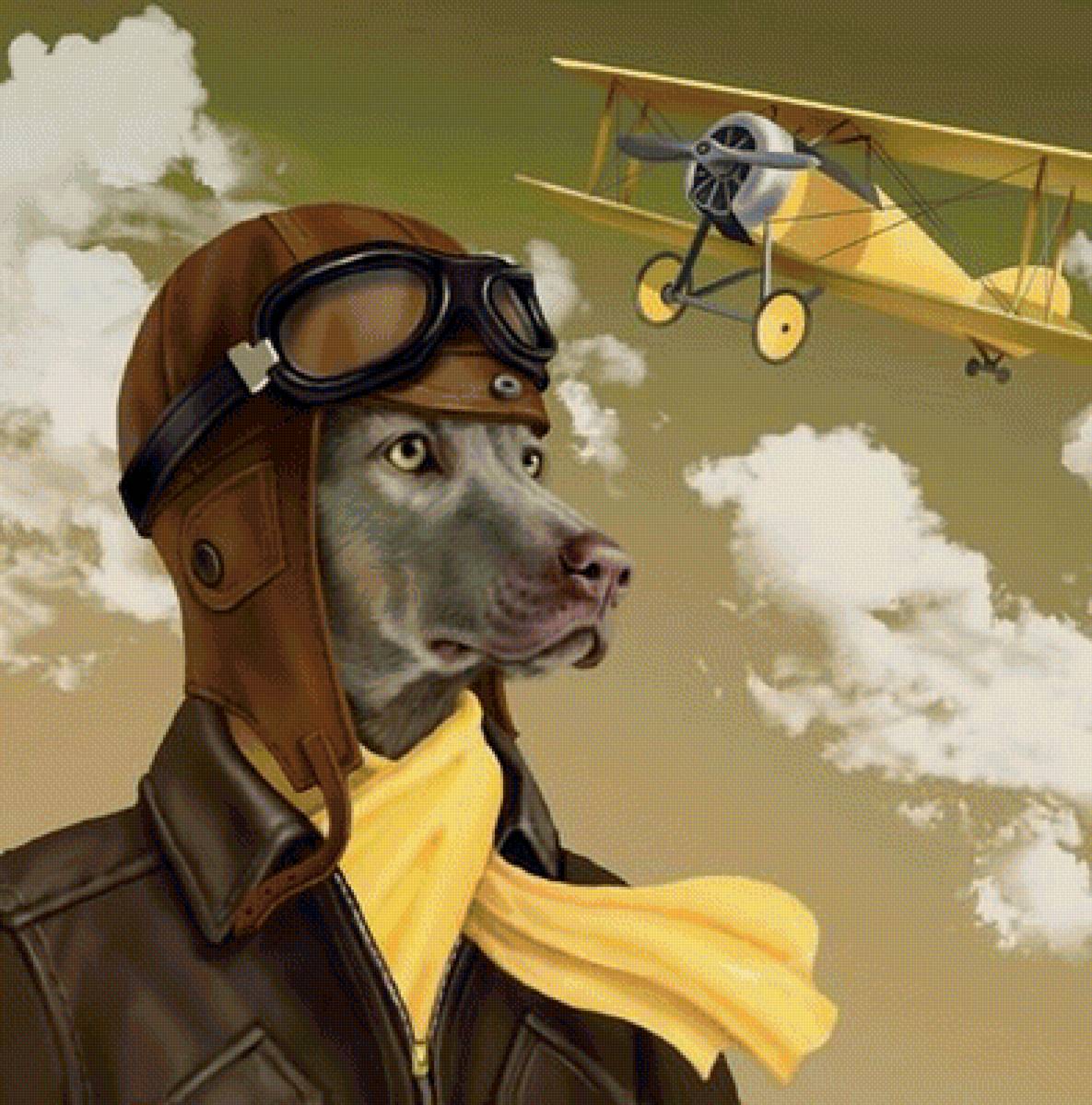 Мир животных - фэнтези, пес, собака, самолет, пилот, арт - предпросмотр