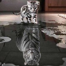 Схема вышивки «котенок+тигр»