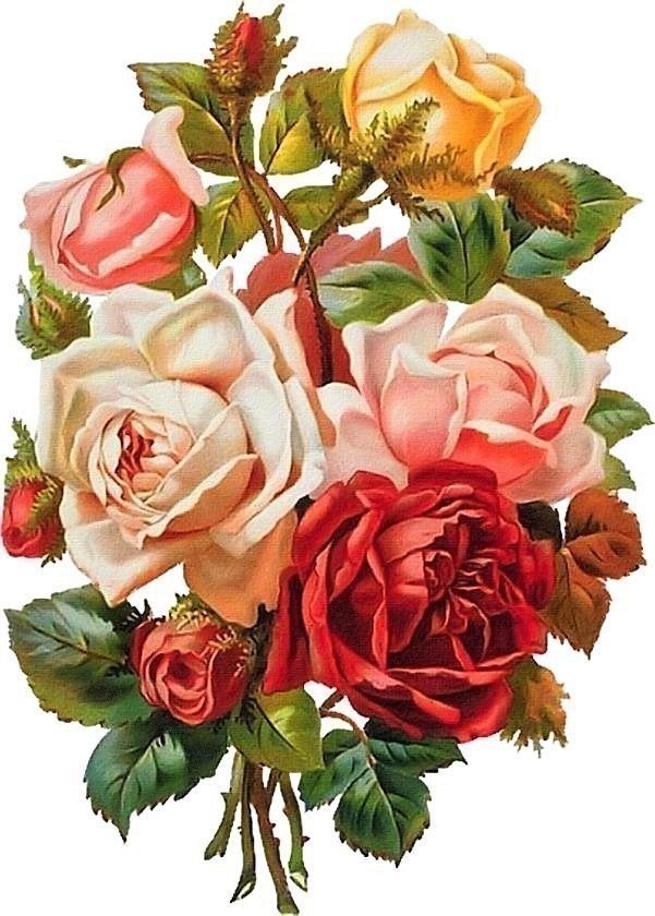 Розы - розы. букет, цветы - оригинал