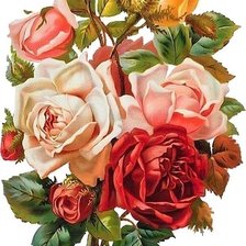 Оригинал схемы вышивки «Розы» (№1735956)
