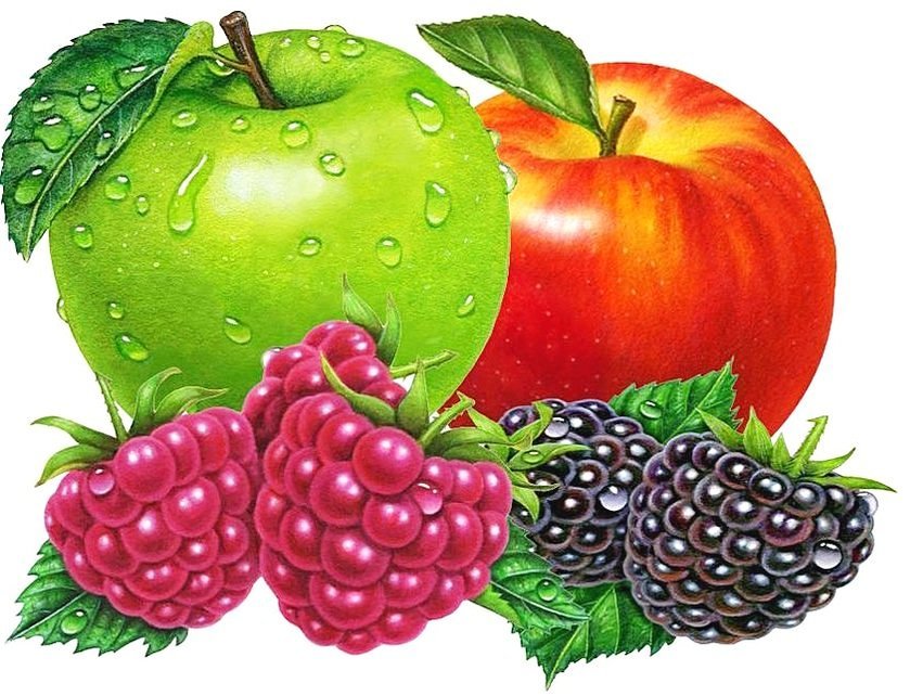 Ягоды-фрукты - малина, яблоки, фрукты, плоды, ежевика, ягоды, роса - оригинал