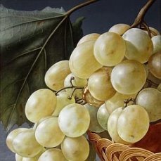 Виноград - виноград, натюрморт - оригинал