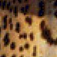 Предпросмотр схемы вышивки «леопард» (№1737771)